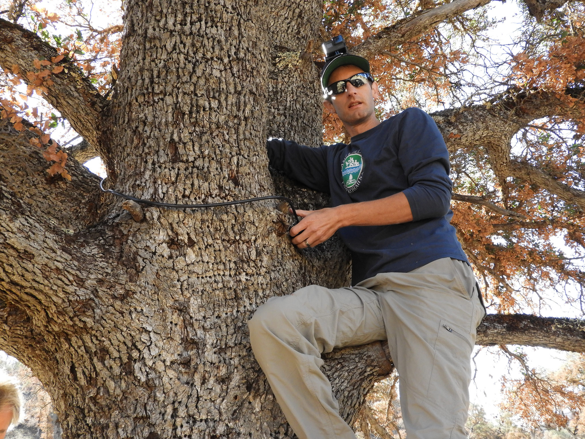 Tuleyome staffer Nate Lillge places one of te trail cameras. [Photo by Mary K. Hanson]